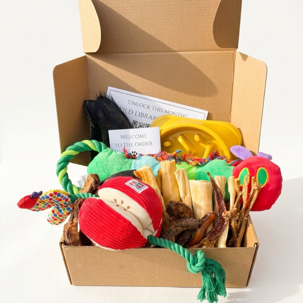 Box of dog toys including a very hungry caterpillar rope toy and ball, chew sticks, annd a slow feeding bowl on a white background