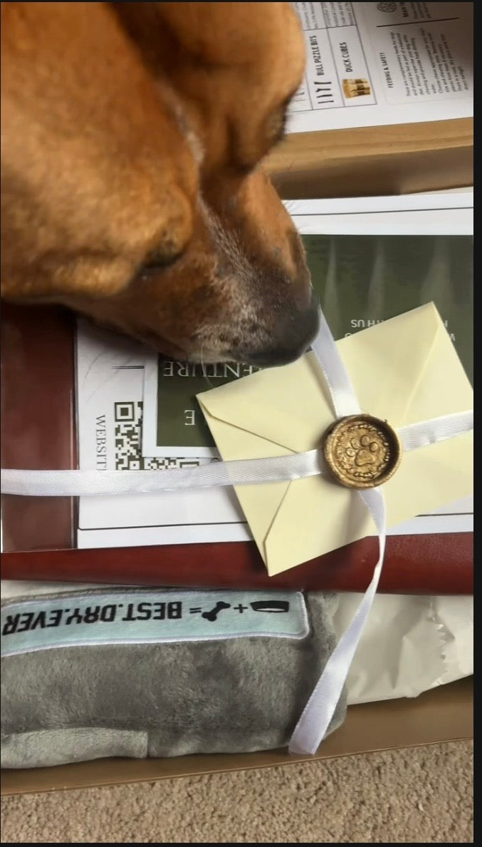 A close-up of a dog sniffing a sealed gift box with a cream envelope, white ribbon, and gold wax seal. Inside the box, a gray plush toy with a 'BEST DRY EVER' patch is visible, along with papers and a wooden tray.