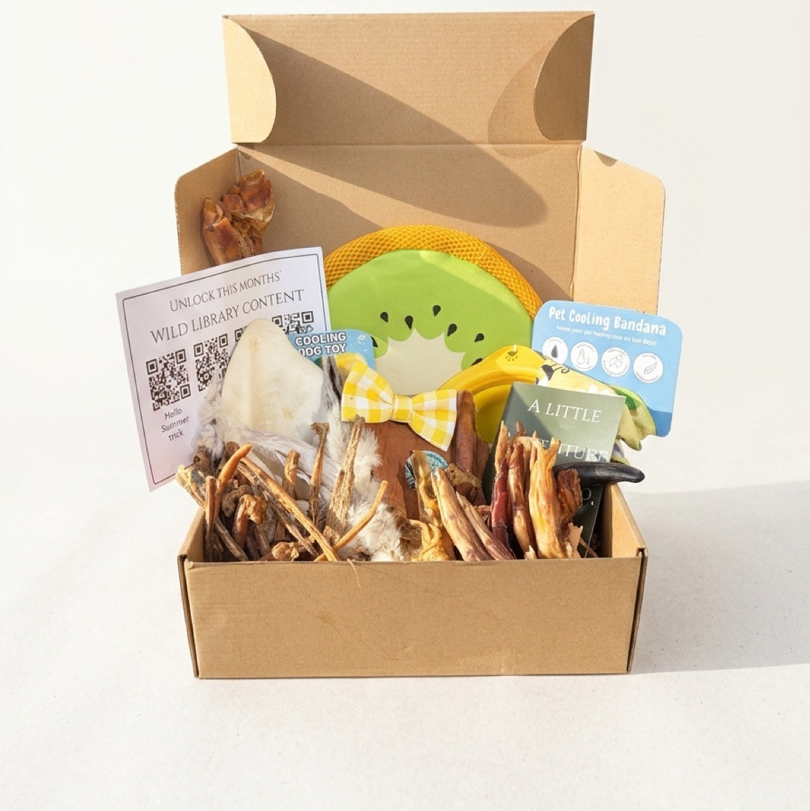 Dog treat box with various dog treats, summer dog toys and a card on a white background
