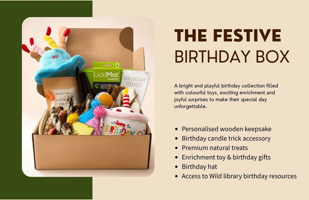 Festive birthday box with toys and accessories on a beige background