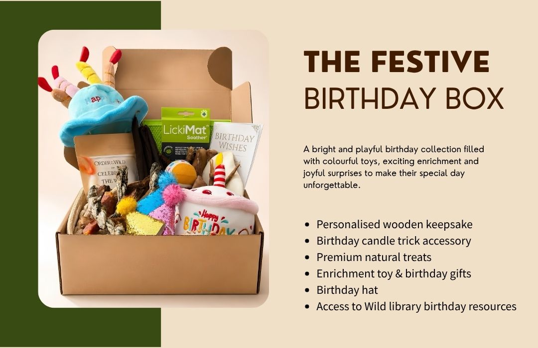 Festive birthday box with toys and accessories on a beige background