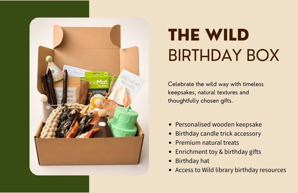 Wild birthday box with products and text on a beige background
