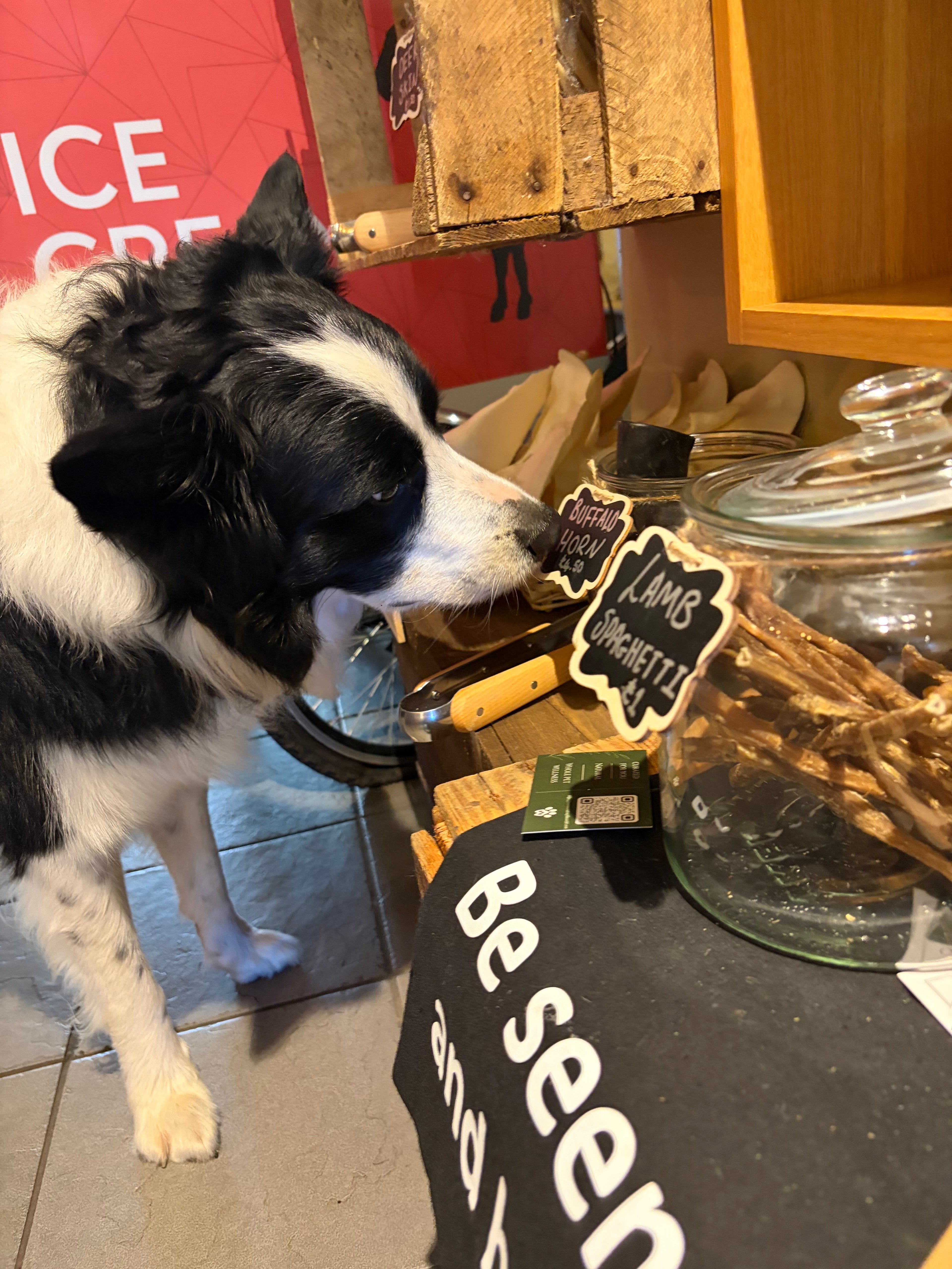 A black and white collie dog  reaching for a small hanging wooden sign in a shop or cafe setting. A glass jar filled with dried natural dog treats sits above, next to a black mat with white text reading 'Be seen and heard'.