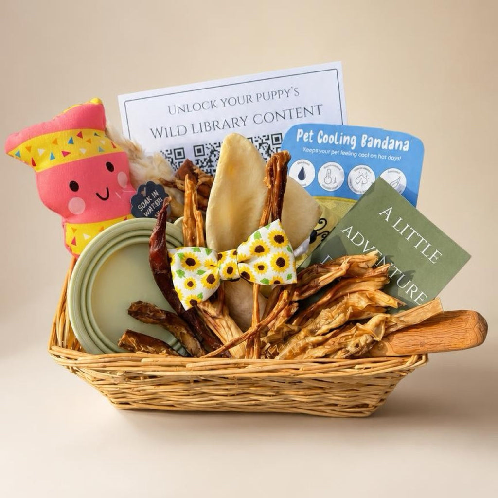 Dog toy and natural treat set with a basket, cooling plush toy, and treats on a beige background