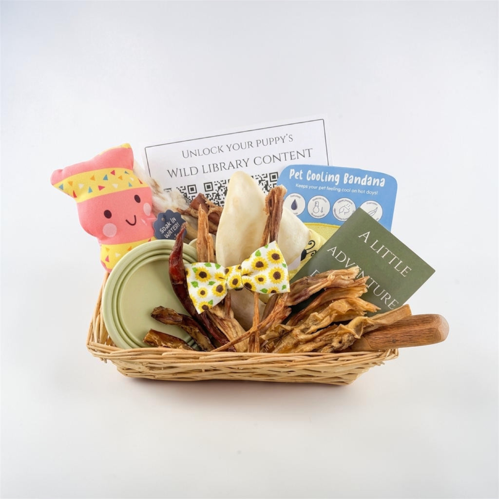 Basket with pet toys and treat items on a white background